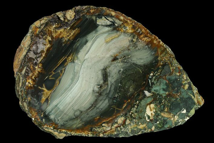 Polished Section of Blue Mountain Jasper - Oregon #150520